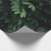 PAPIER CADEAU ARBRE VERT (Coin)