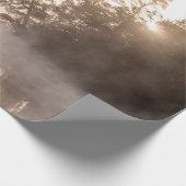 PAPIER CADEAU ARBRES AVEC BROUILLARD (Coin)