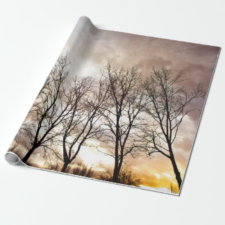 Papier Cadeau Arbres d'automne de chute au coucher du soleil