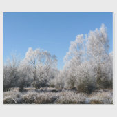 PAPIER CADEAU ARBRES D'HIVER (Plat)