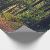 PAPIER CADEAU ARBRES FORESTIERS (Coin)