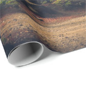 PAPIER CADEAU ARBRES FORESTIERS (Coin rond)
