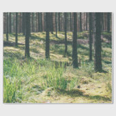 Papier Cadeau Arbres forestiers. nature bois vert soleil fond (Plat)