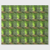 Papier Cadeau Arbres par : Joyce Klimer (Plat)