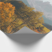 PAPIER CADEAU ARBRES VERTS ET CHAMP DE GRASS (Coin)