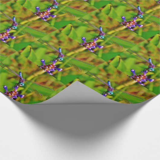 Papier Cadeau Arc en ciel libellule et fleur (Coin)