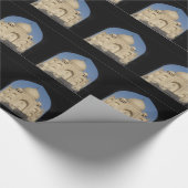 Papier Cadeau arche de taj mahal (Coin)