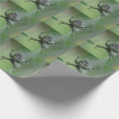 Papier Cadeau Argiope bruennichi (Coin)