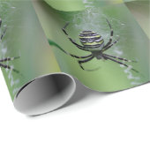Papier Cadeau Argiope bruennichi (Coin rond)