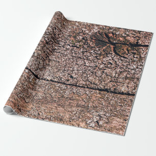 Papier Cadeau arrière - plan abstrait de vieux bois texture clos