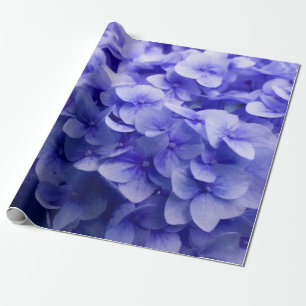 Papier Cadeau Arrière - plan blanc de fleur d'hortensia