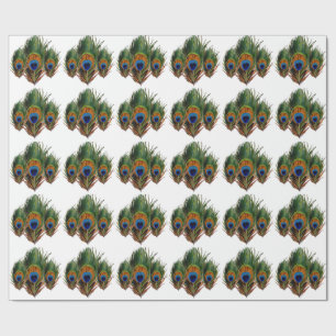 Papier Cadeau Arrière - plan de la plume de paon de