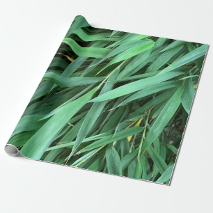 Papier Cadeau Arrière - plan feuille bambou