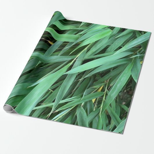 Papier Cadeau Arrière - plan feuille bambou (Déroulé)