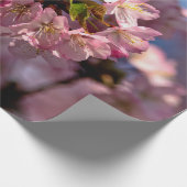 Papier Cadeau Arrondi De Fleurs Sakura (Coin)