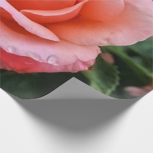 Papier Cadeau Art botanique romantique Rose Imprimer (Coin)
