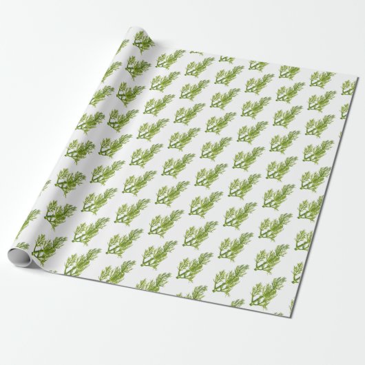 Papier Cadeau Art d'aneth (Déroulé)