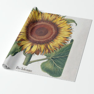 Papier Cadeau Art de fleur de damas vintage tournesol