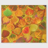 Papier Cadeau Aspen Feuilles Collage Solid Medley 1 (Plat)