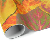 Papier Cadeau Aspen Feuilles Collage Solid Medley 1 (Coin rond)
