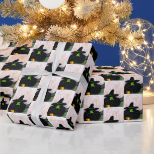 PAPIER CADEAU ASSISTANT DE OZ MELTING WITTER