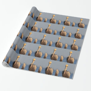 Papier Cadeau Attitude de pélican