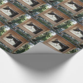 Papier Cadeau Attitude du chat (Coin)