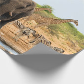 Papier Cadeau Au trou d'eau (Coin)