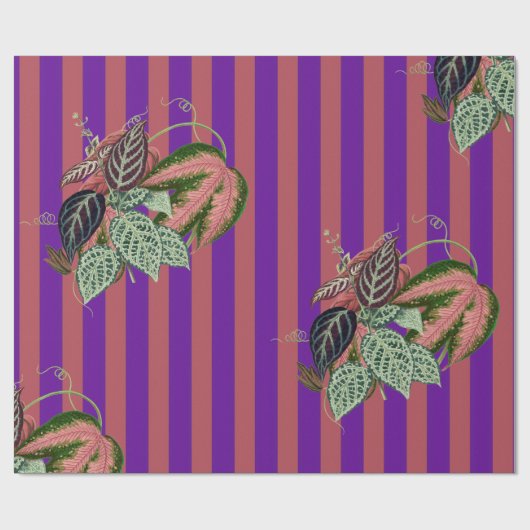 Papier Cadeau Aubergine (Plat)