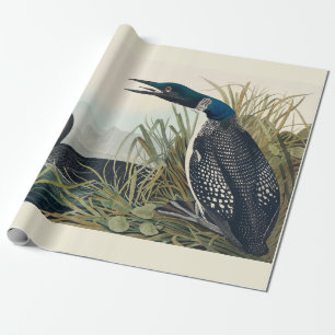 Papier Cadeau Audubon Bird Loon Diver Classic