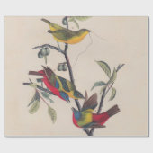 Papier Cadeau Audubon Peint Bunting Bird Wildlife (Plat)
