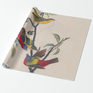 Papier Cadeau Audubon Peint Bunting Bird Wildlife