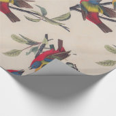 Papier Cadeau Audubon Peint Bunting Bird Wildlife (Coin)