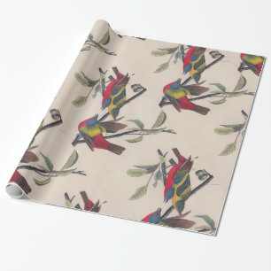 Papier Cadeau Audubon Peint Bunting Bird Wildlife