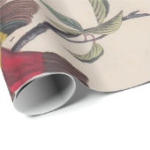 Papier Cadeau Audubon Peint Bunting Bird Wildlife (Coin rond)