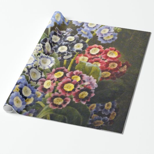 Papier Cadeau Auricules florales botaniques vintages d'art (Déroulé)