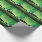 Papier Cadeau Aurora (Coin)