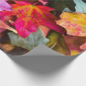 Papier Cadeau automne feuille d'érable coloré automne photo natu (Coin)