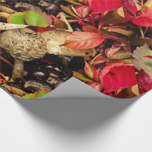 Papier Cadeau Automne Feuilles automnales, châtaignes champignon (Coin)
