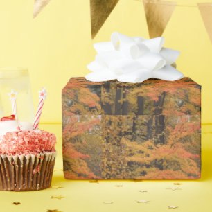Papier Cadeau Automne Feuilles et arbres d'automne