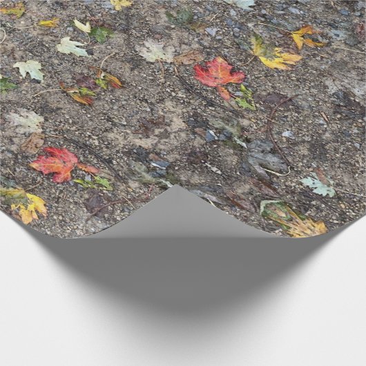 Papier Cadeau Automne Saison Automne Feuilles Papier Rustique (Coin)