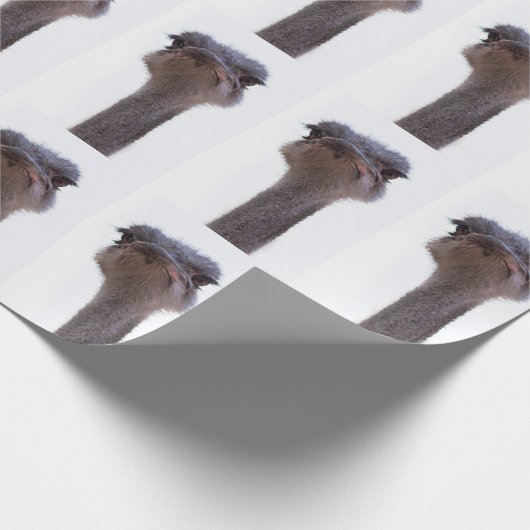 Papier Cadeau autruche (Coin)