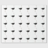 Papier Cadeau Autruche (Plat)