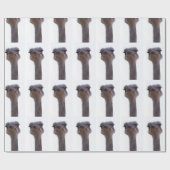 Papier Cadeau Autruche Oiseau (Plat)