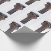 Papier Cadeau Autruche Oiseau (Coin)