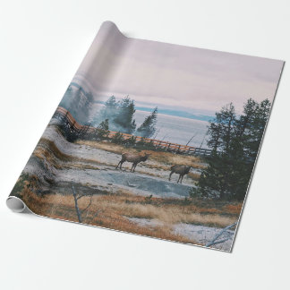 PAPIER CADEAU AVANT LE COUCHER DE SOLEIL DANS LE PARC NATIONAL D