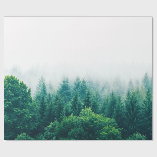 Papier Cadeau Aventure (Plat)