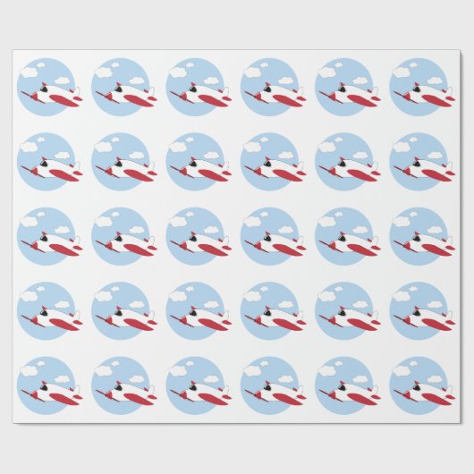 Papier Cadeau Avion (Plat)