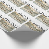 Papier Cadeau Aviron SUPÉRIEUR (Coin)