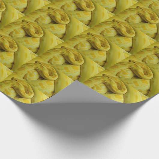 Papier Cadeau Awesome Yellow Burmese Python (Coin)